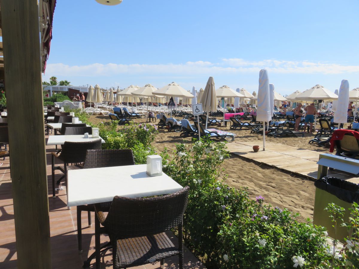 imagini hotel Sentido Trendy Verbena